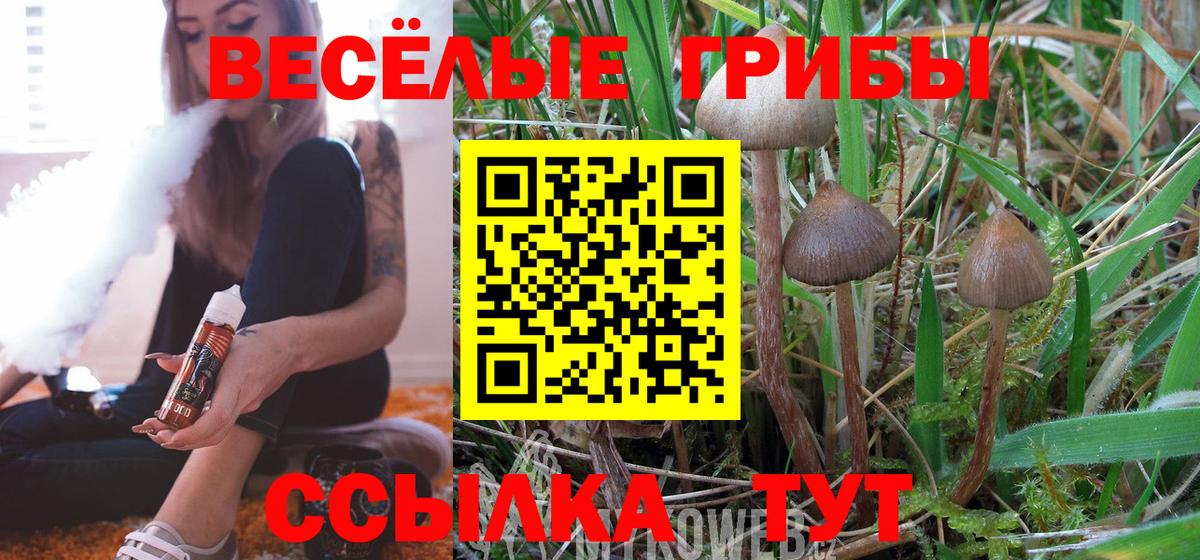 Псилоцибиновые грибы мухоморы  Вход с VPN  Солнечногорск  Псилоцибиновые грибы Cubensis 